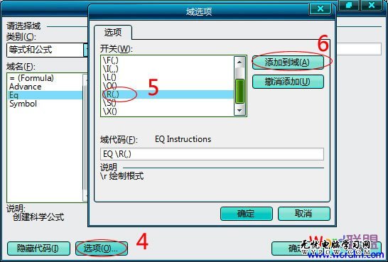 域選項