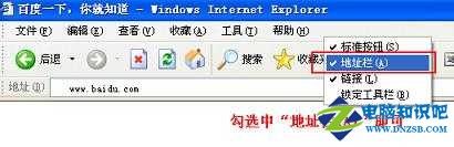 IE地址欄不見了