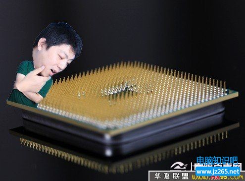 “哇尻！這AMD處理器下面全是一根一根的針啊！” 
