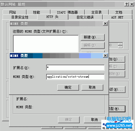 IIS支持任意擴展名下載的方法（組圖）