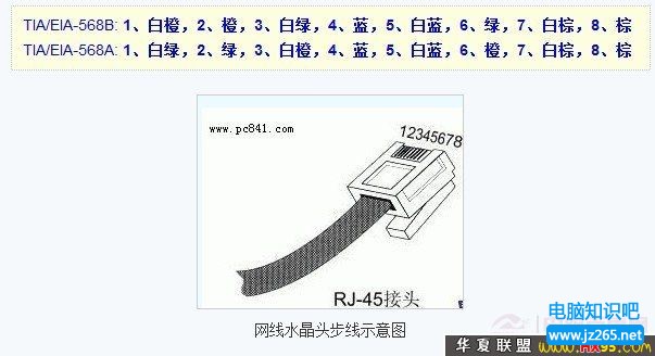 網線接頭順序示意圖