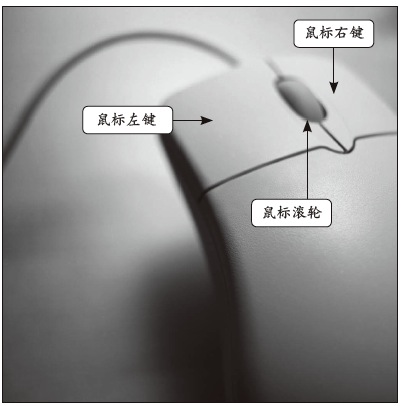 如何正確使用鼠標 三聯