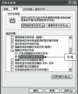 顯示系統文件