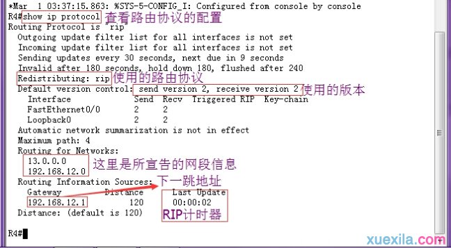 查看一下配置的路由協議信息