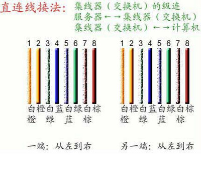 網線接頭順序是什麼