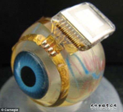 一個電腦芯片和這個眼球相連，把來自安裝在一副眼鏡中微型相機的信息傳送給大腦。