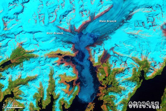 拍攝於2011年5月30日阿拉斯加哥倫比亞冰河