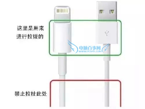 iPhone數據線怎麼保？淺談iPhone數據線保養技巧