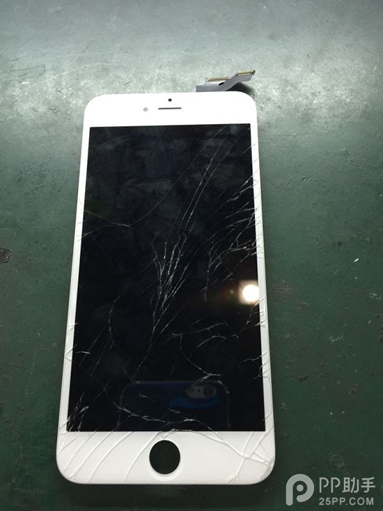 iPhone6 Plus屏幕碎了不用怕 手把手教你維修 三聯