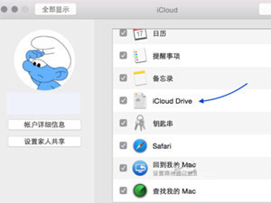 蘋果iCloud Drive怎麼用 iCloud Drive使用教程