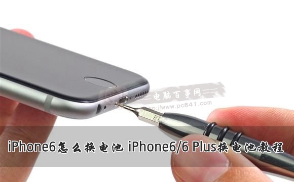 iPhone6/6 Plus怎麼換電池？ 三聯