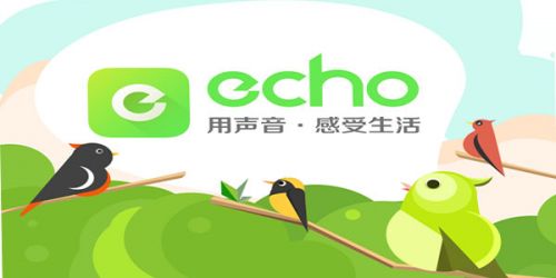 echo回聲怎麼樣 三聯