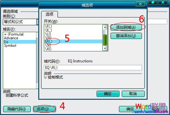 域選項