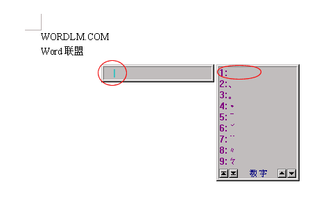 word2003裡面什麼樣的英文字體可以增加字符統計