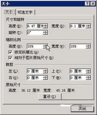 選擇Word 2007“大小”命令