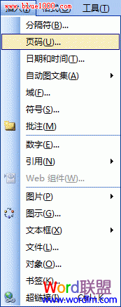 Word2003文檔如何添加頁碼 三聯