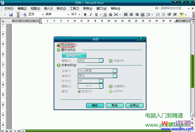 Word2003文檔中怎麼樣去水印