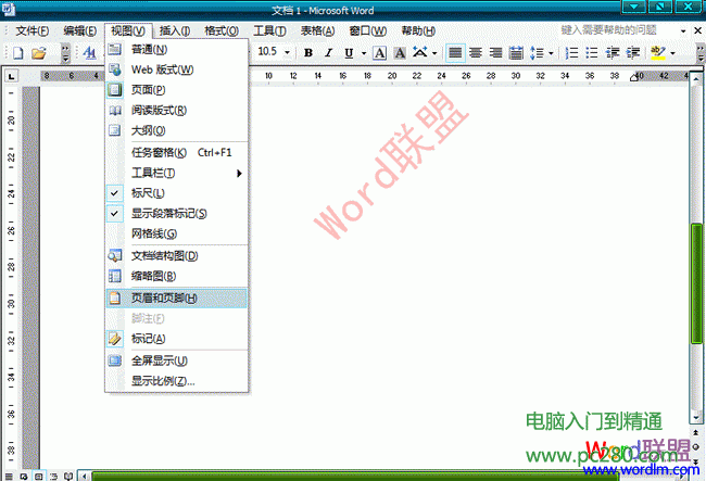 Word2003文檔中怎麼樣去水印