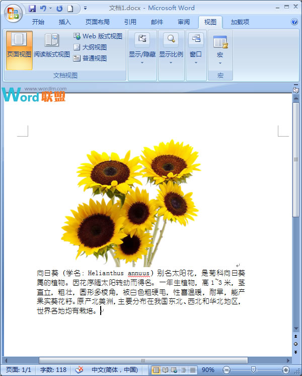 在Word2007中如何讓文字緊挨圖片  三聯