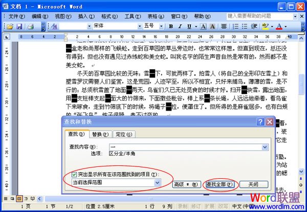 Word2003查找替換功能的使用