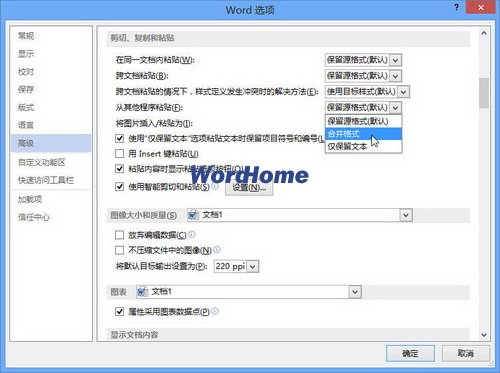 word2013從其他程序粘貼