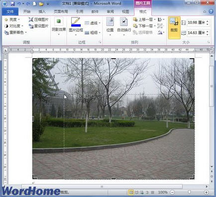 word2010中如何裁剪圖片