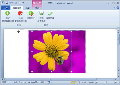 Word 2010去除圖片背景小技巧