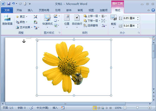 Word 2010去除圖片背景小技巧