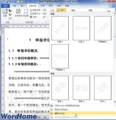 word2010添加和刪除水印