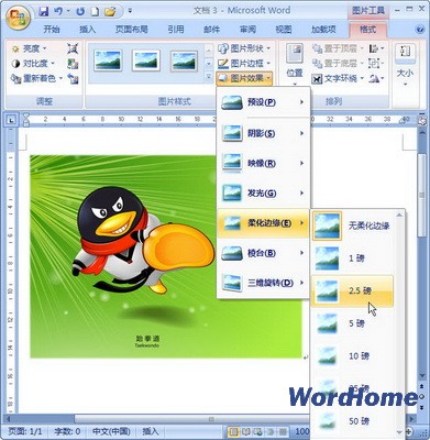 Word 2007技巧：設置圖片柔化邊緣效果 三聯