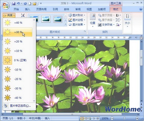 Word 2007技巧：設置圖片亮度 三聯