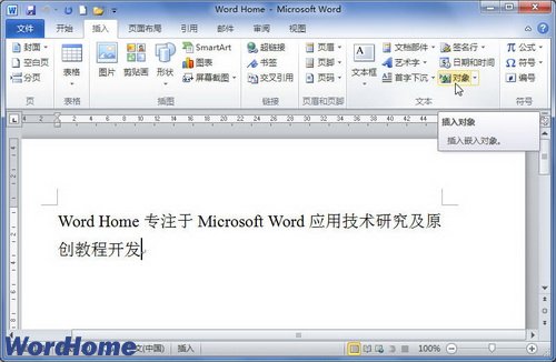 在Word2010中插入鏈接到文件的對象 三聯