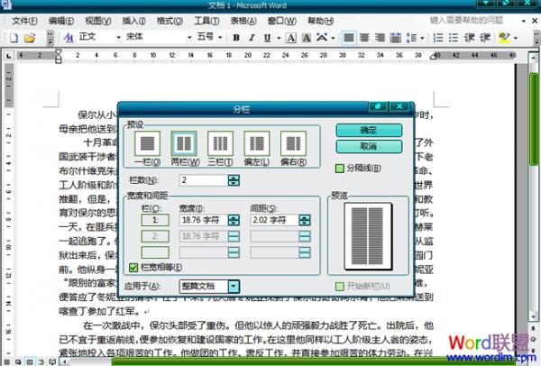 Word2003文檔中怎麼分欄