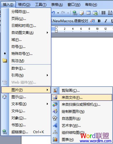 Word2003輸入的文字自定義變成相應的圖片 三聯教程