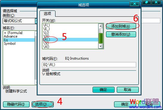 域選項