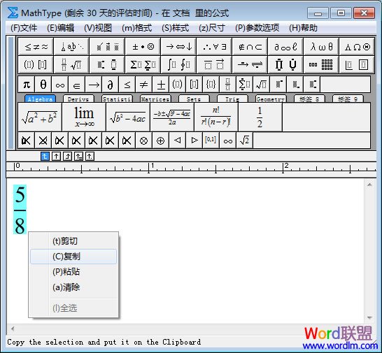 復制到Word文檔中