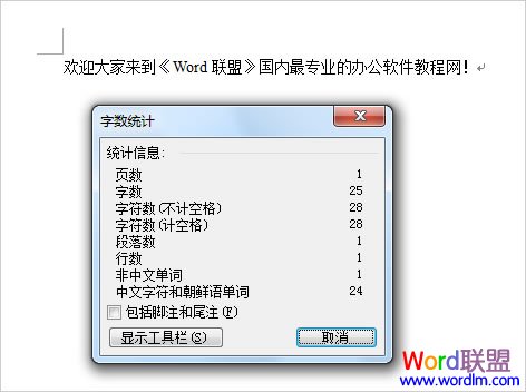 Word2003字數統計