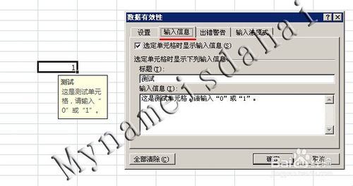 Excel 數據輸入有效性（限定輸入數據）