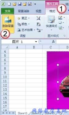 Excel2010也能處理圖片教你去除圖片的背景