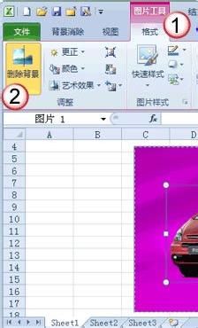 Excel2010也能處理圖片教你去除圖片的背景