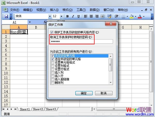 Excel 2003單元格保護設置 三聯