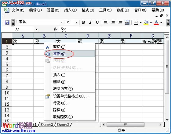 Excel2003中復制行數據到列中  三聯