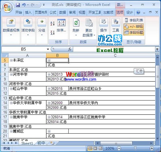 Excel2007中給復雜的數據插入數據透視表