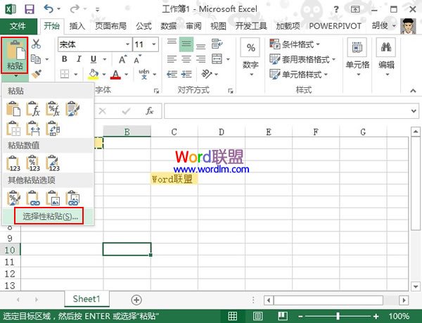 Excel2013單元格復制時讓格式不變的兩種方法