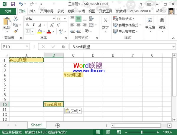 Excel2013單元格復制時讓格式不變的兩種方法