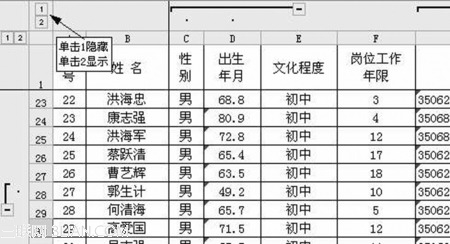 Excel的數據隱藏