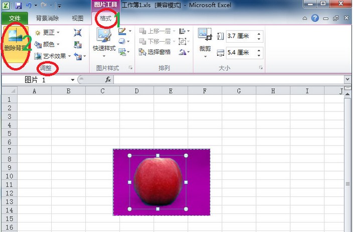 Excel2010技巧:輕松去除圖片的背景