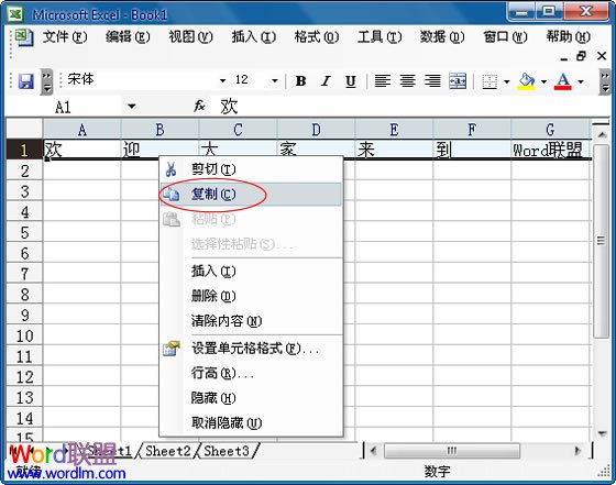 Excel2003中怎麼將行中的數據復制到列中 三聯