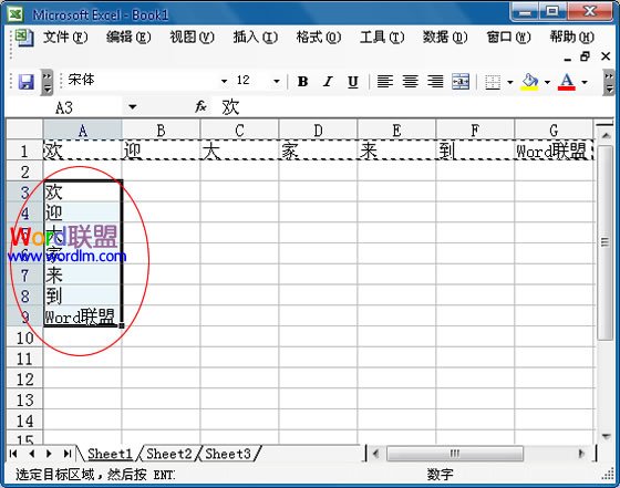 Excel2003中怎麼將行中的數據復制到列中