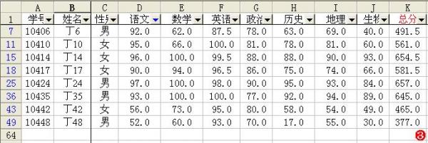 Excel篩選功能應用